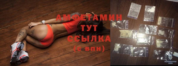 хмурый Алзамай