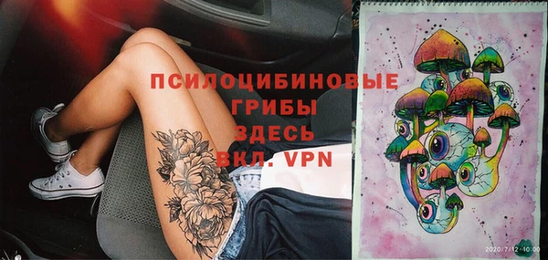 хмурый Алзамай