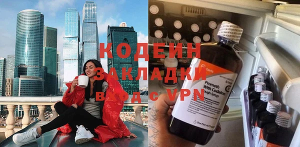 хмурый Алзамай