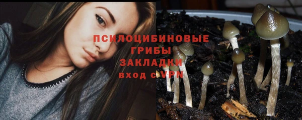шишки Алексин