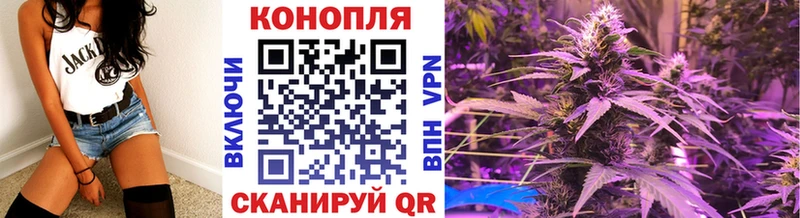 Канабис сатива Самара